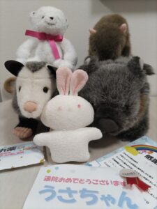 うさちゃん帰宅後写真2