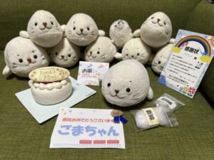 ごまちゃん帰宅後写真１枚目