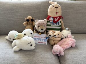 カガライ様帰宅後写真2