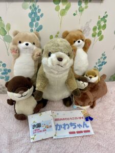 かわちゃん帰宅後写真