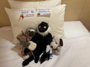 タロチ様’クロちゃん帰宅後写真