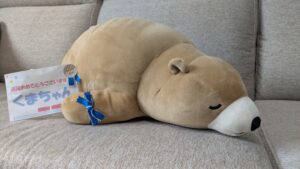 くまちゃん帰宅後写真