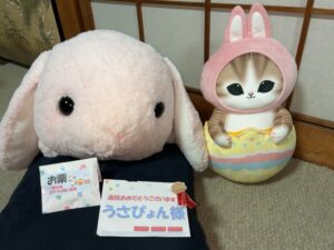 うさぴょん様帰宅後写真