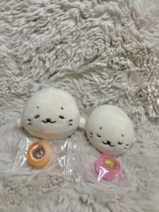 ねてる様帰宅後写真３