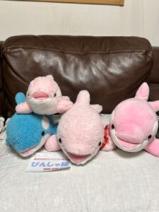 ぴんしゃ様＆はなちゃん帰宅後写真2