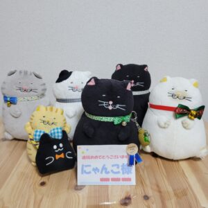 にゃんこ様帰宅後写真