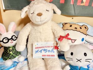 メイちゃん帰宅後写真