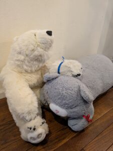 ののちゃん・くま太様帰宅後写真