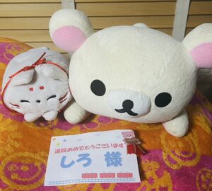 しろ様帰宅後写真