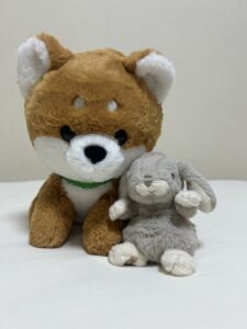 yume様帰宅後写真2