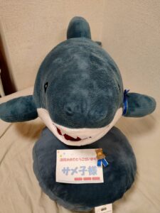 サメ子様帰宅後写真