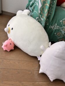 フカガワ様帰宅後写真