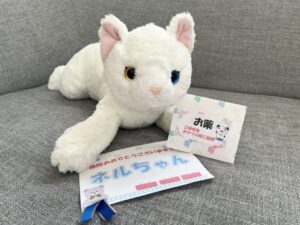 ネルちゃん帰宅後写真
