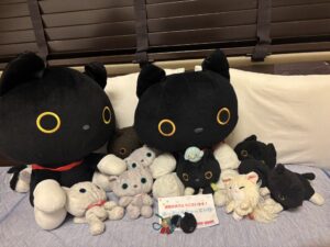 おっきぃすきゃってぃ様帰宅後写真