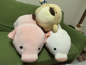 でーちゃん&かもジロー様帰宅後写真