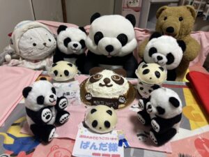 ぱんだ様帰宅後写真1