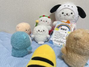 しろたん様帰宅後写真