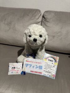 マフィン様帰宅後写真