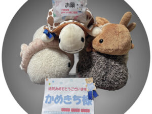 かめきち様帰宅後写真