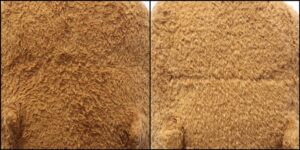 かぴさん毛並みふわふわ治療