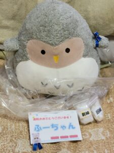 ふーちゃん帰宅後写真3