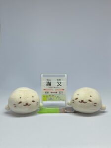 しろ様帰宅後写真2