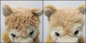 オレンジパピィ様毛並みふわふわ治療