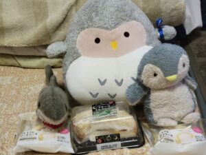 ふーちゃん帰宅後写真4