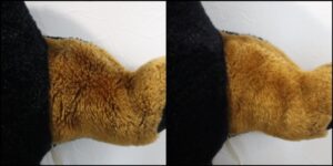 ダダ様毛並みふわふわ治療