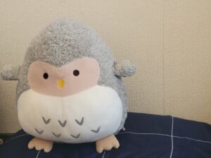 ふーちゃん帰宅後写真5