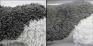 アーサー様毛並みふわふわ治療