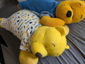 プー太郎様帰宅後写真2