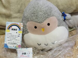 ふーちゃん帰宅後写真2