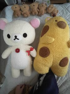 さんたさん帰宅後写真2