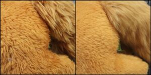 きつね様毛並みふわふわ