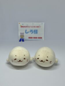 しろ様帰宅後写真1