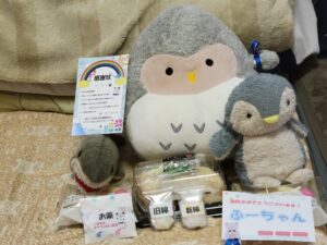 ふーちゃん帰宅後写真1