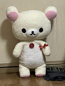 さんたさん帰宅後写真1