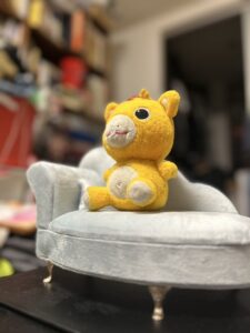 ブースカ様帰宅後写真