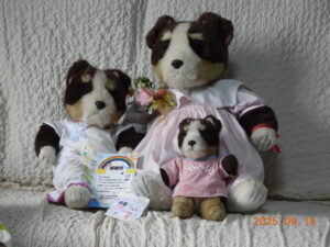 タマちゃん帰宅後写真1