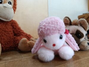 ぶーちゅ様帰宅後写真