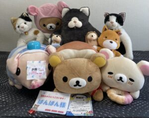 ぱんぱん様帰宅後写真