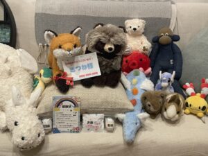 きつね様帰宅後写真