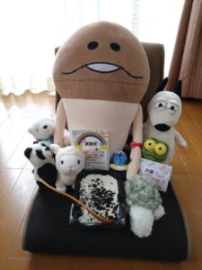 きのこ様帰宅後写真