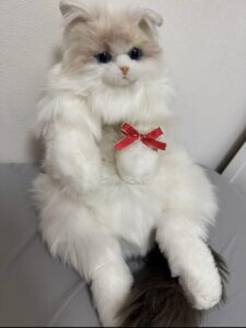 もふこ様帰宅後写真