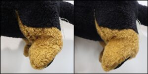 ユイ様毛並みふわふわ治療