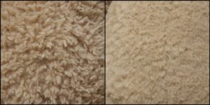 だっぷん様毛並みふわふわ治療