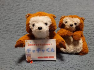 チャチャくん帰宅後写真