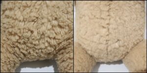 だっくん毛並みふわふわ治療