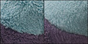 すてぃっち様毛並みふわふわ治療